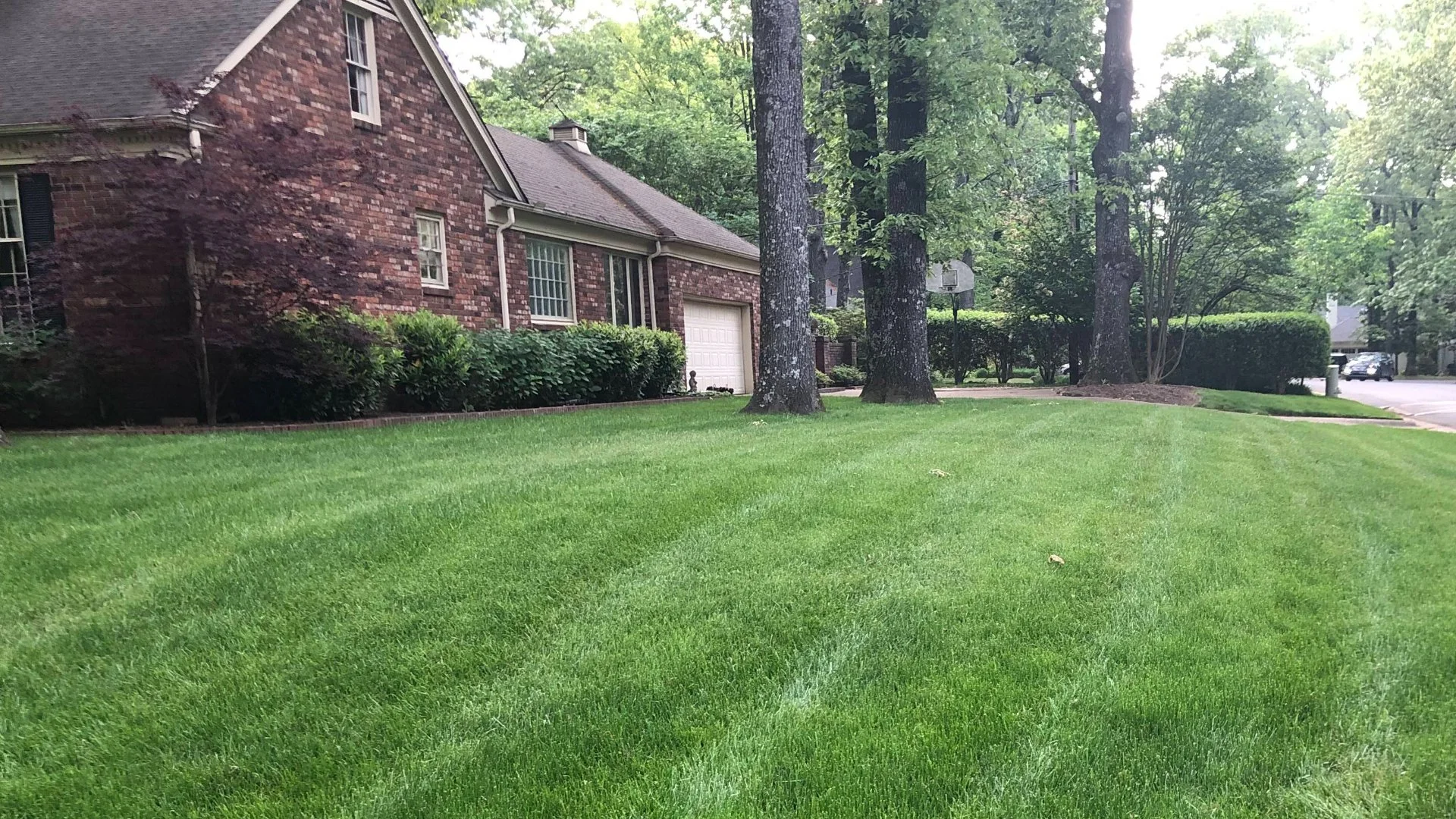 Wait! Don't Mow Your Lawn Right After It Rains!