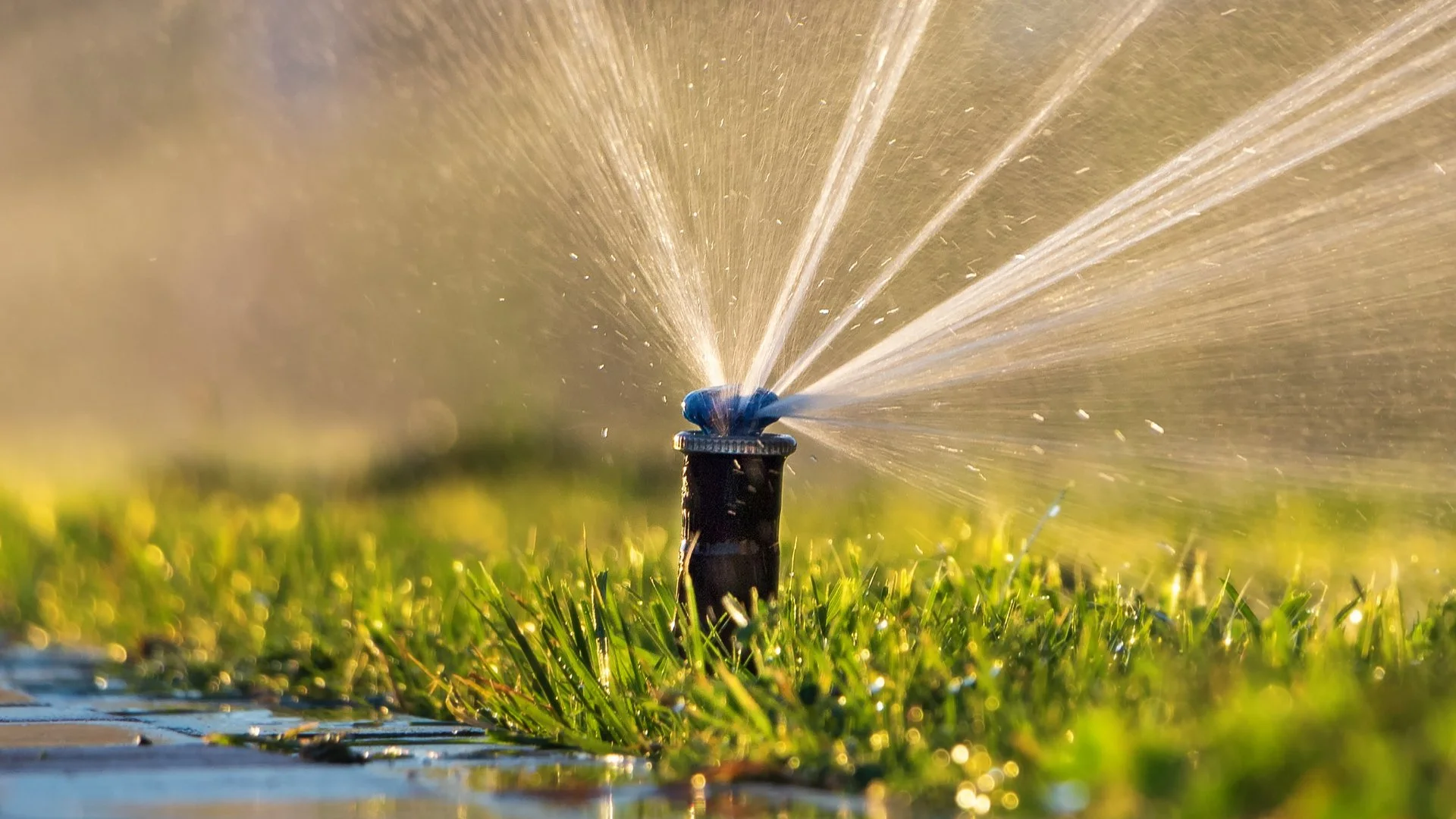 Why Are Some of Your Sprinkler Zones Not Running?