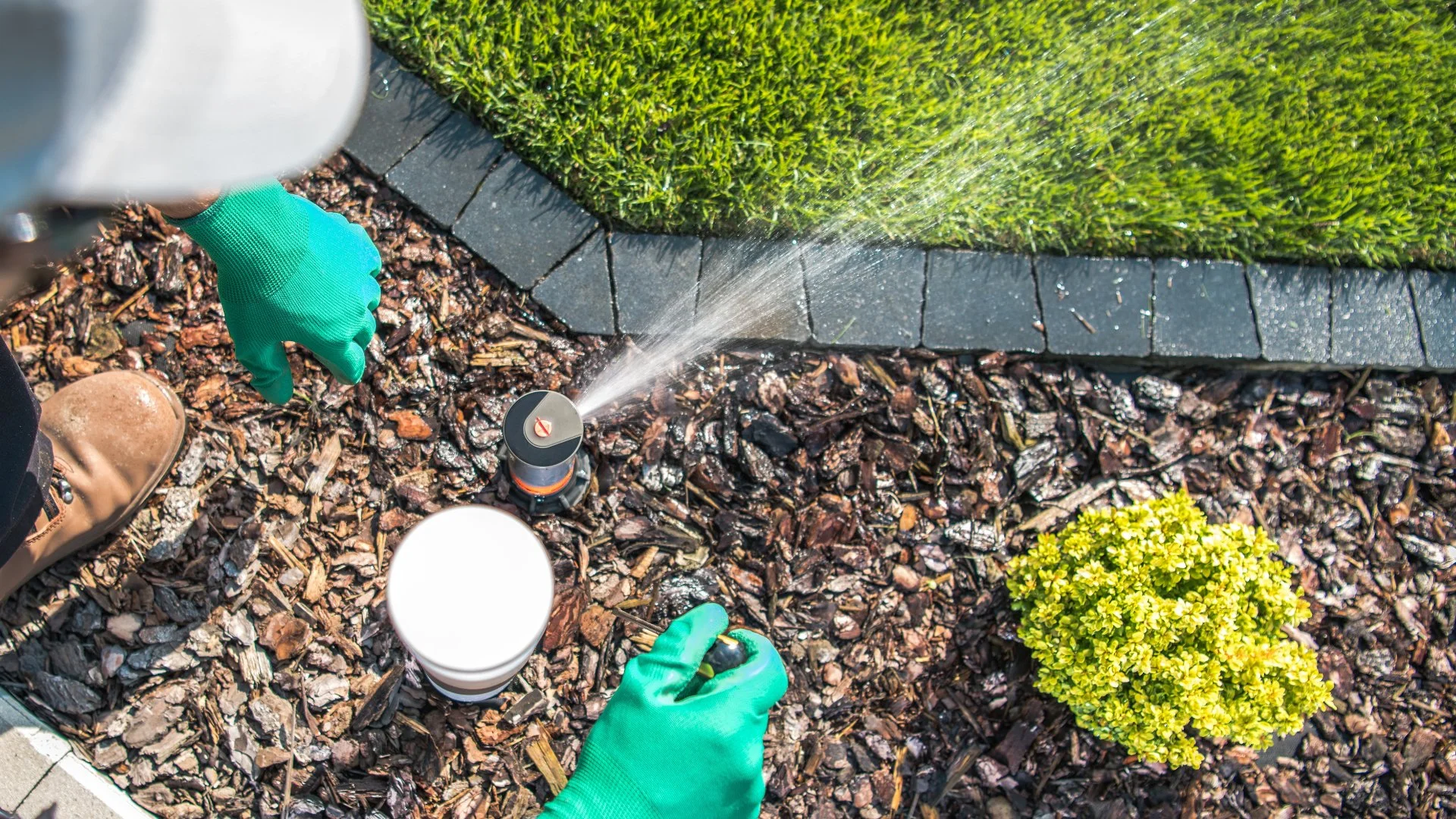 What Do Professionals Do While Performing an Irrigation Startup?