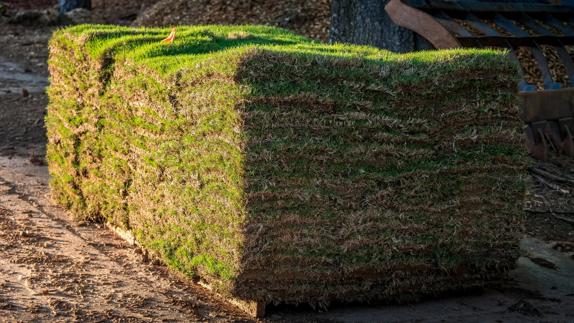 How Often Do You Need to Water Your New Sod?