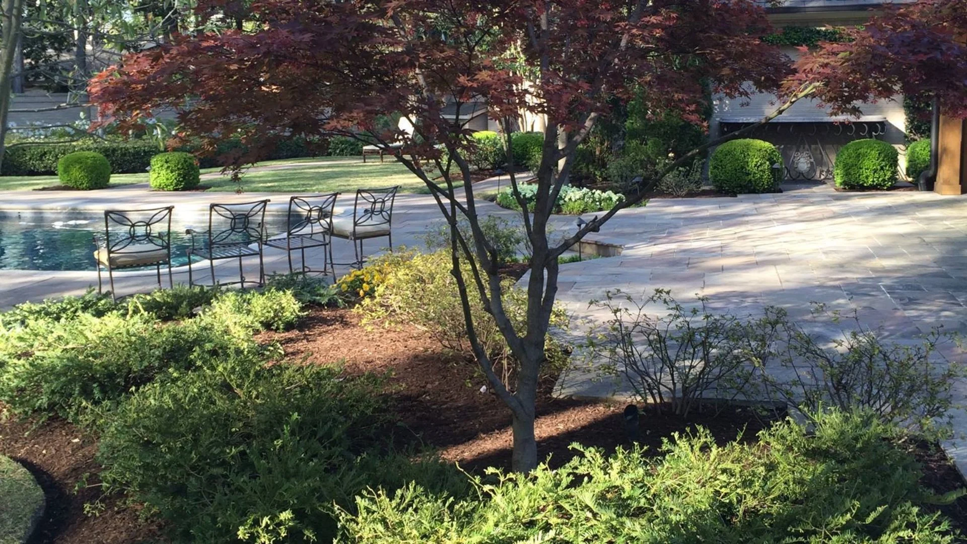 Key Indications of a Nutrient Deficiency in Your Trees & Shrubs