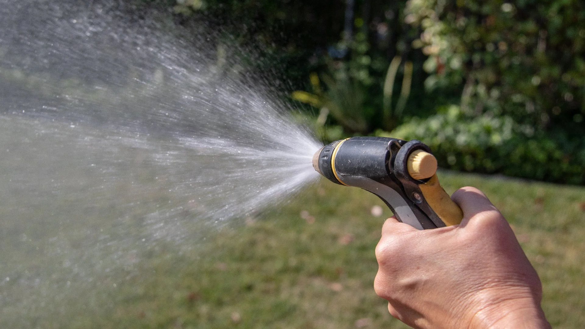 Do Fertilizers Need to Be Watered in After Application?