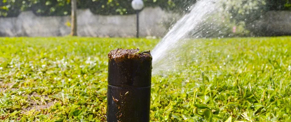 Clogged irrigation sprinkler head in Memphis, TN.