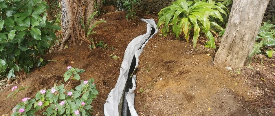 French drain in a landscape in Memphis, TN.