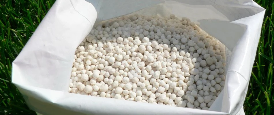 Granular fertilizer for a lawn in Memphis, TN.