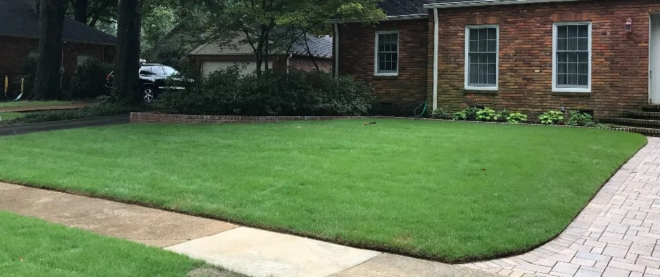 Healthy fertilized lawn in Memphis, TN, on a house.