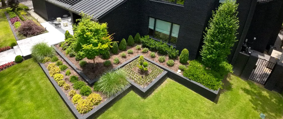 Landscape in Memphis, TN, with lush, healthy trees and shrubs.