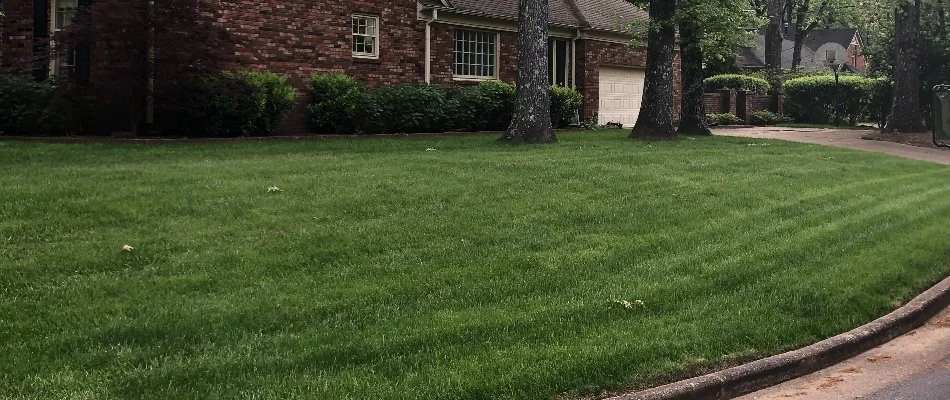 Lush mowed grass in Memphis, TN.