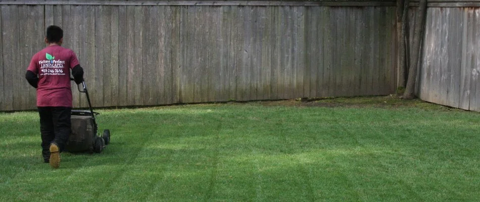 Man mowing a lawn in Memphis, TN.