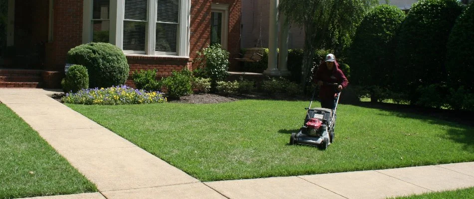 Mowing lush green grass in Memphis, TN.