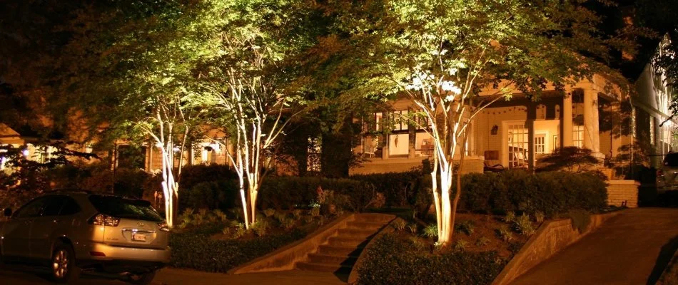 Uplighting trees in a front yard in Memphis, TN.
