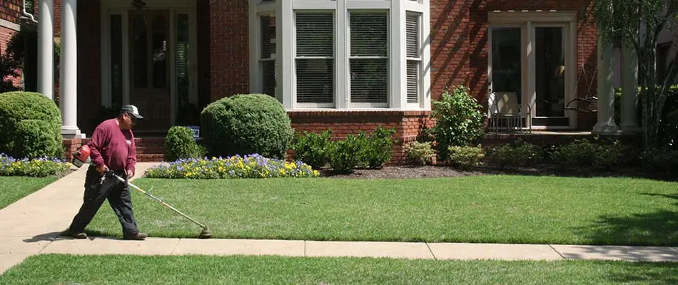 Edging a sidewalk in front of a home in Bartlett, TN.