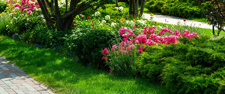 Neatly trimmed grass and healthy landscape plants near Bartlett, TN.